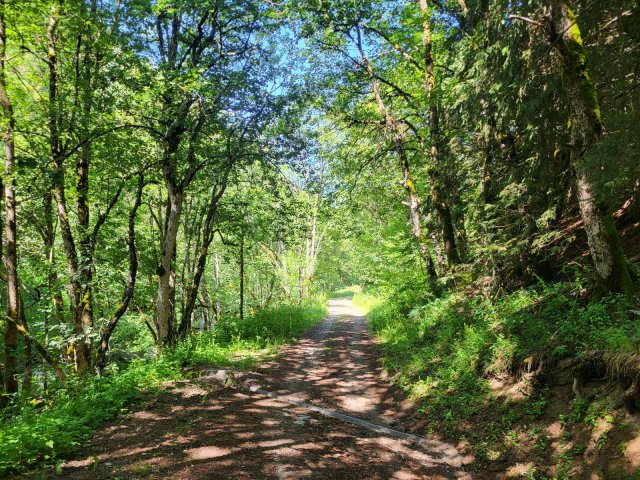 Langs de Sarenne