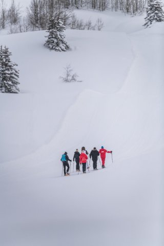 43340994-diaporama